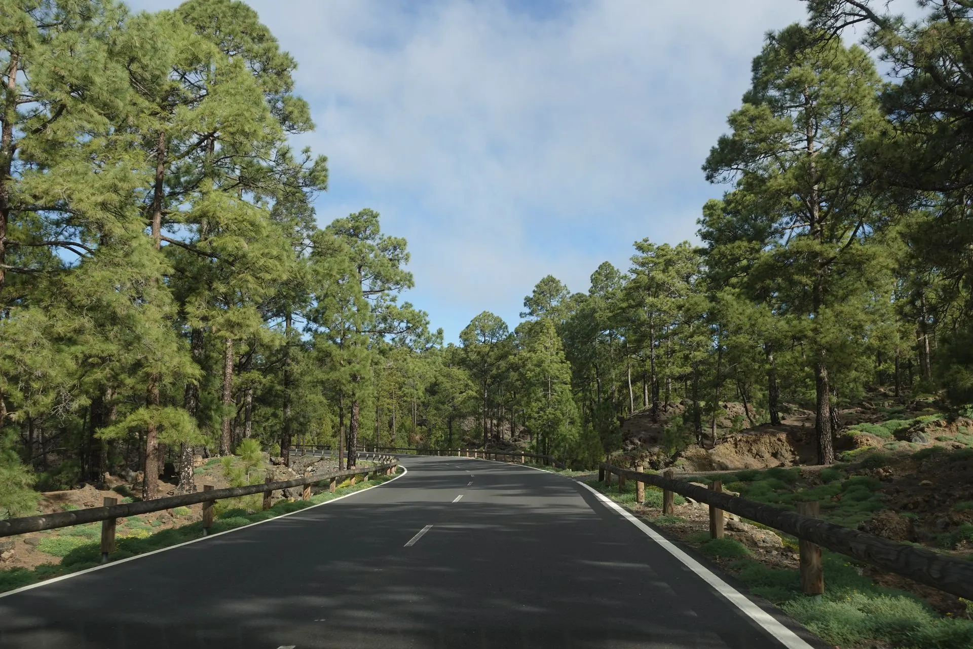 Regional road through open country